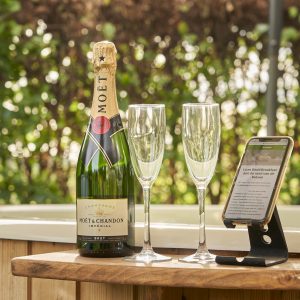 Gekoelde fles Moët & Chandon