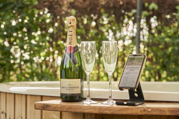 Gekoelde fles Moët & Chandon